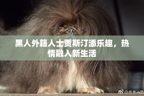 黑人外籍人士贾斯汀添乐趣，热情融入新生活