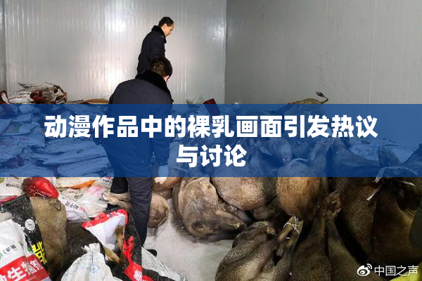动漫作品中的裸乳画面引发热议与讨论