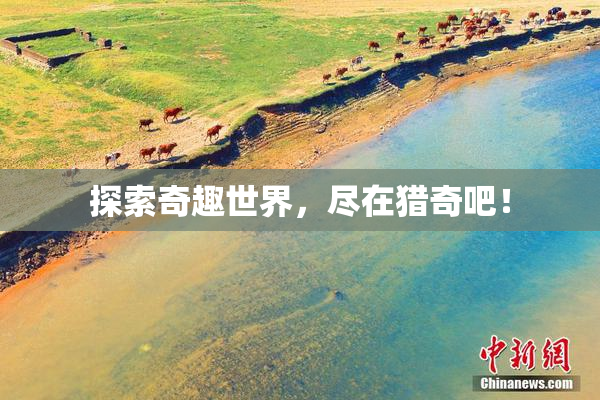 探索奇趣世界，尽在猎奇吧！