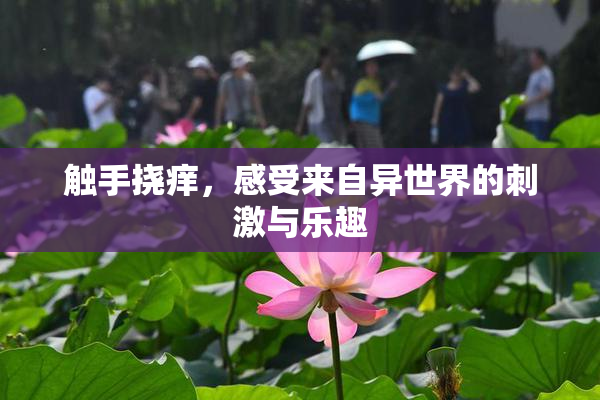 触手挠痒，感受来自异世界的刺激与乐趣