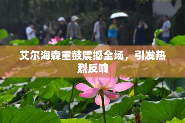 艾尔海森重鼓震撼全场，引发热烈反响