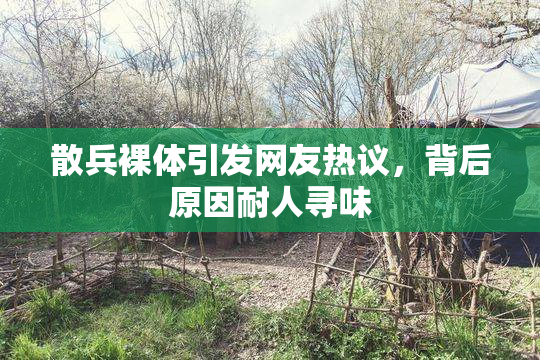 散兵裸体引发网友热议，背后原因耐人寻味