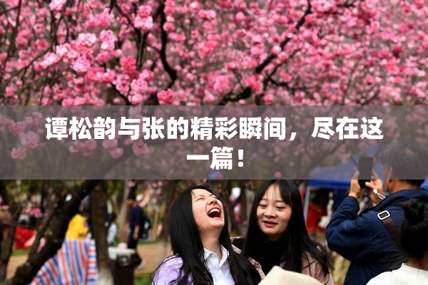 谭松韵与张的精彩瞬间，尽在这一篇！
