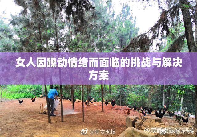 女人因躁动情绪而面临的挑战与解决方案