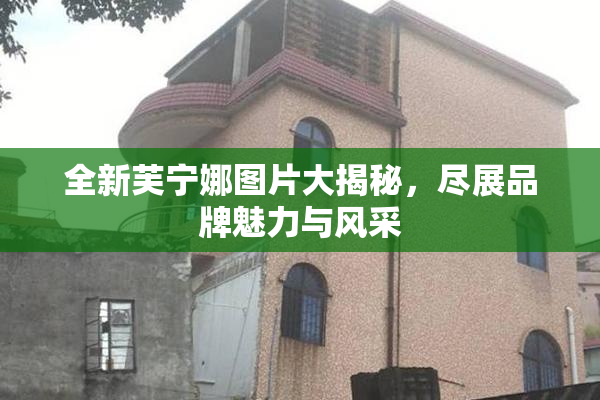 全新芙宁娜图片大揭秘，尽展品牌魅力与风采
