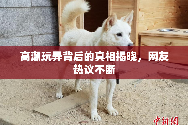 高潮玩弄背后的真相揭晓，网友热议不断