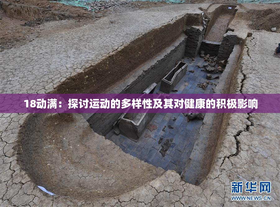 18动满：探讨运动的多样性及其对健康的积极影响