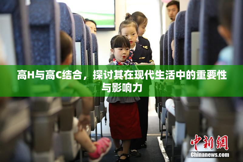 高H与高C结合，探讨其在现代生活中的重要性与影响力