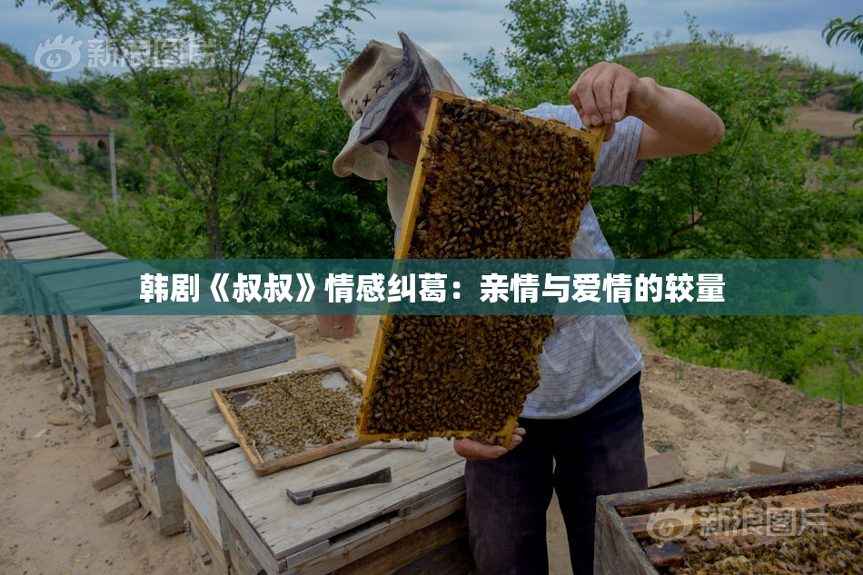 韩剧《叔叔》情感纠葛：亲情与爱情的较量