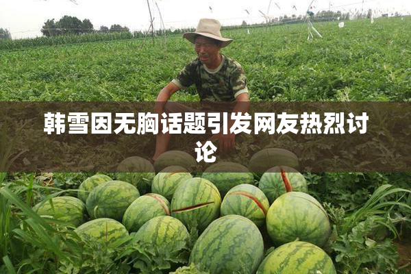 韩雪因无胸话题引发网友热烈讨论
