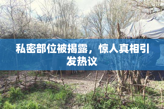 私密部位被揭露，惊人真相引发热议