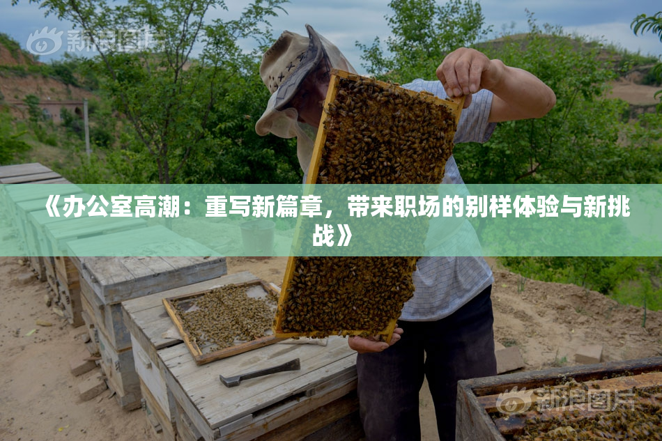 《办公室高潮：重写新篇章，带来职场的别样体验与新挑战》