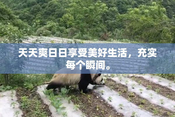 天天爽日日享受美好生活，充实每个瞬间。
