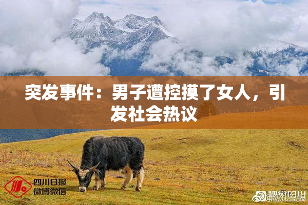 突发事件：男子遭控摸了女人，引发社会热议