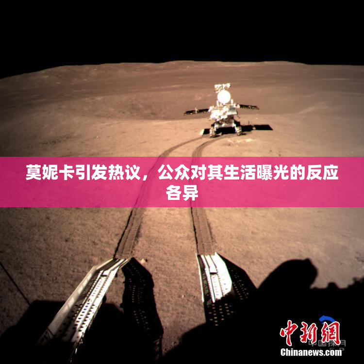 莫妮卡引发热议，公众对其生活曝光的反应各异