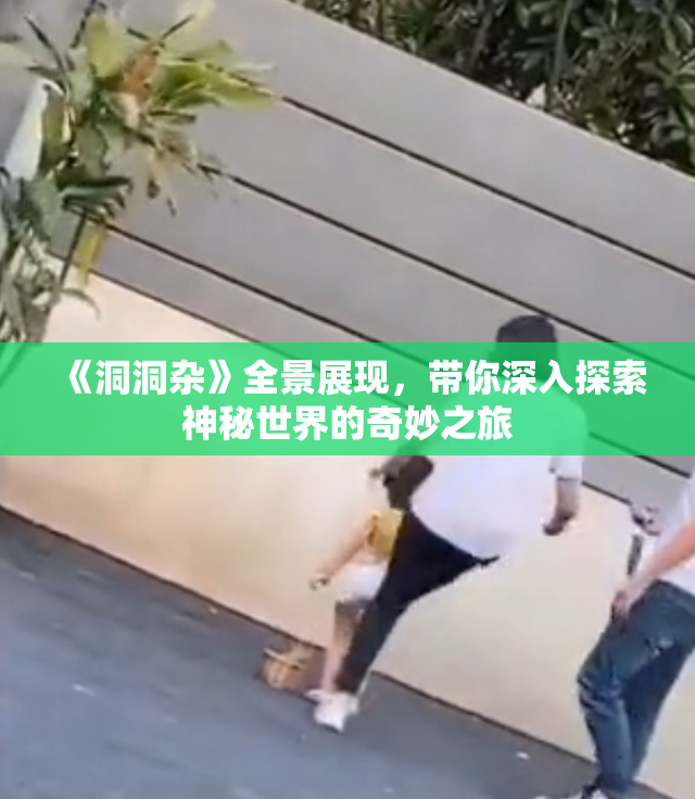 《洞洞杂》全景展现，带你深入探索神秘世界的奇妙之旅