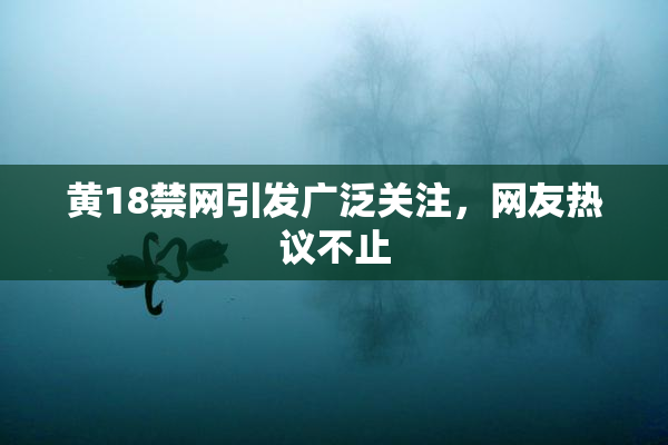 黄18禁网引发广泛关注，网友热议不止