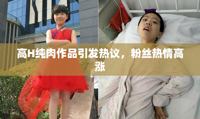 高H纯肉作品引发热议，粉丝热情高涨