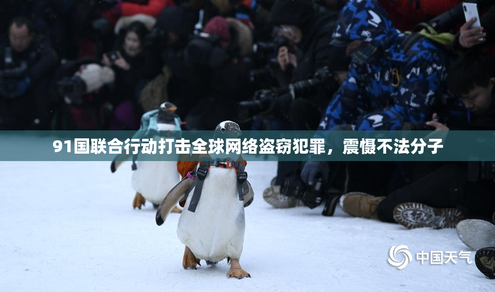 91国联合行动打击全球网络盗窃犯罪，震慑不法分子