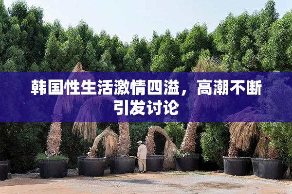 韩国性生活激情四溢，高潮不断引发讨论