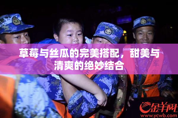 草莓与丝瓜的完美搭配，甜美与清爽的绝妙结合
