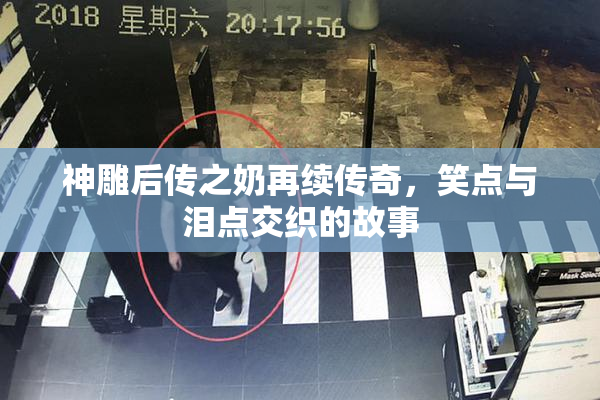 神雕后传之奶再续传奇，笑点与泪点交织的故事