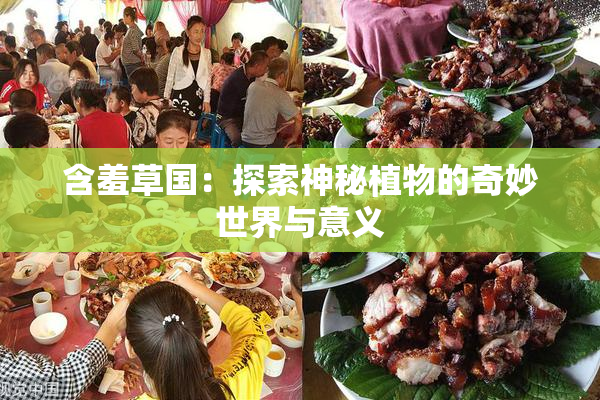 含羞草国：探索神秘植物的奇妙世界与意义