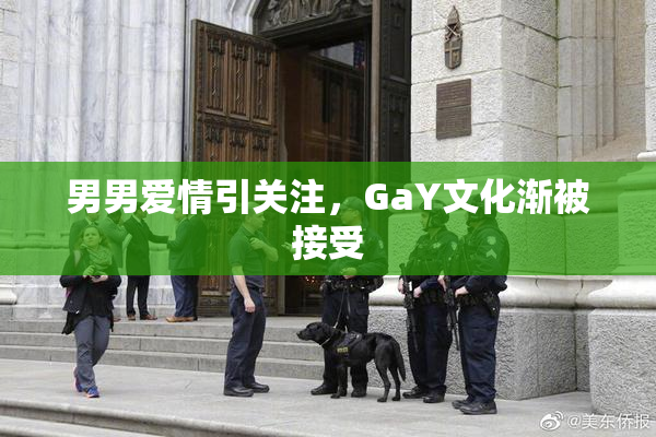 男男爱情引关注，GaY文化渐被接受