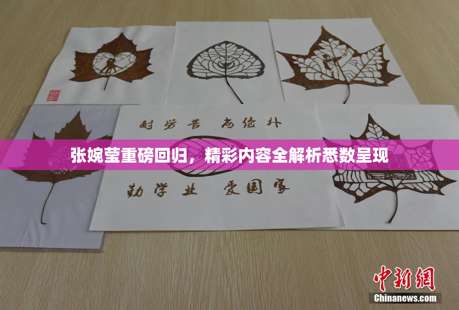 张婉莹重磅回归，精彩内容全解析悉数呈现