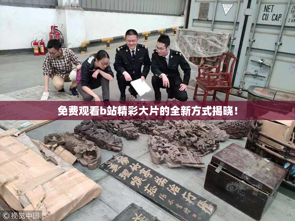 免费观看b站精彩大片的全新方式揭晓！