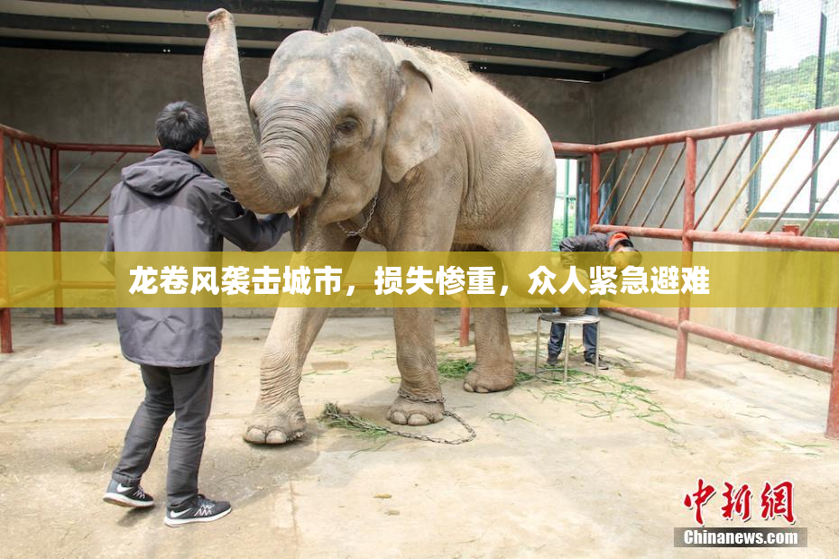 龙卷风袭击城市，损失惨重，众人紧急避难