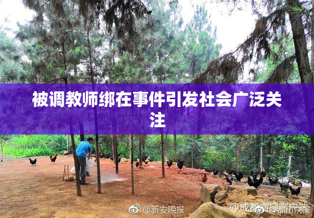 被调教师绑在事件引发社会广泛关注