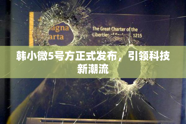 韩小微5号方正式发布，引领科技新潮流
