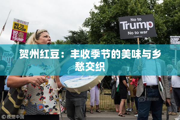 贺州红豆：丰收季节的美味与乡愁交织