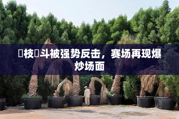 狛枝凪斗被强势反击，赛场再现爆炒场面