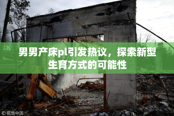 男男产床pl引发热议，探索新型生育方式的可能性