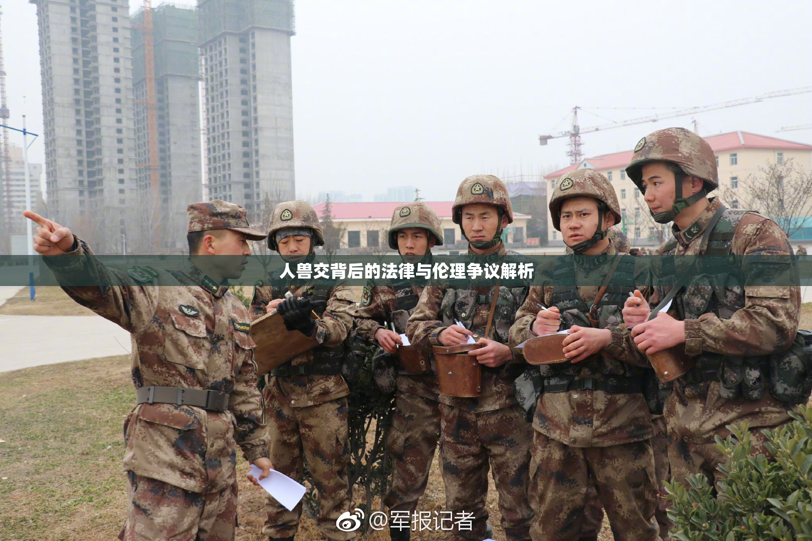 人兽交背后的法律与伦理争议解析