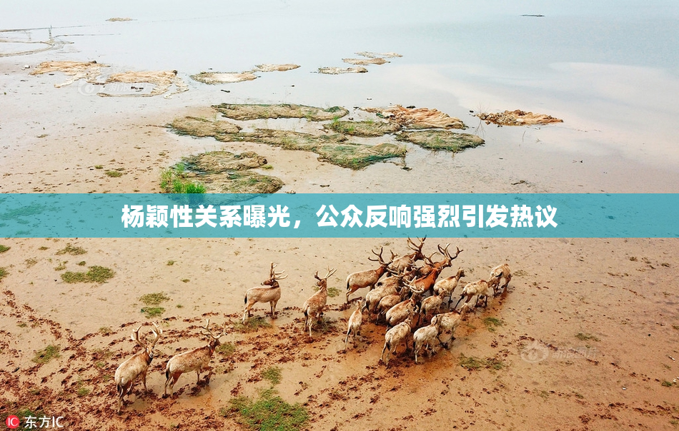 杨颖性关系曝光，公众反响强烈引发热议