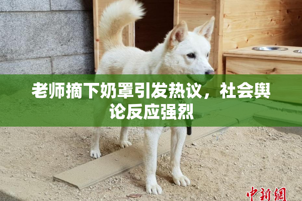 老师摘下奶罩引发热议，社会舆论反应强烈