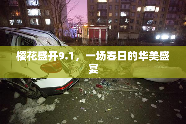樱花盛开9.1，一场春日的华美盛宴