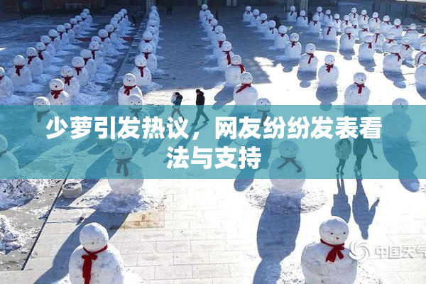 少萝引发热议，网友纷纷发表看法与支持