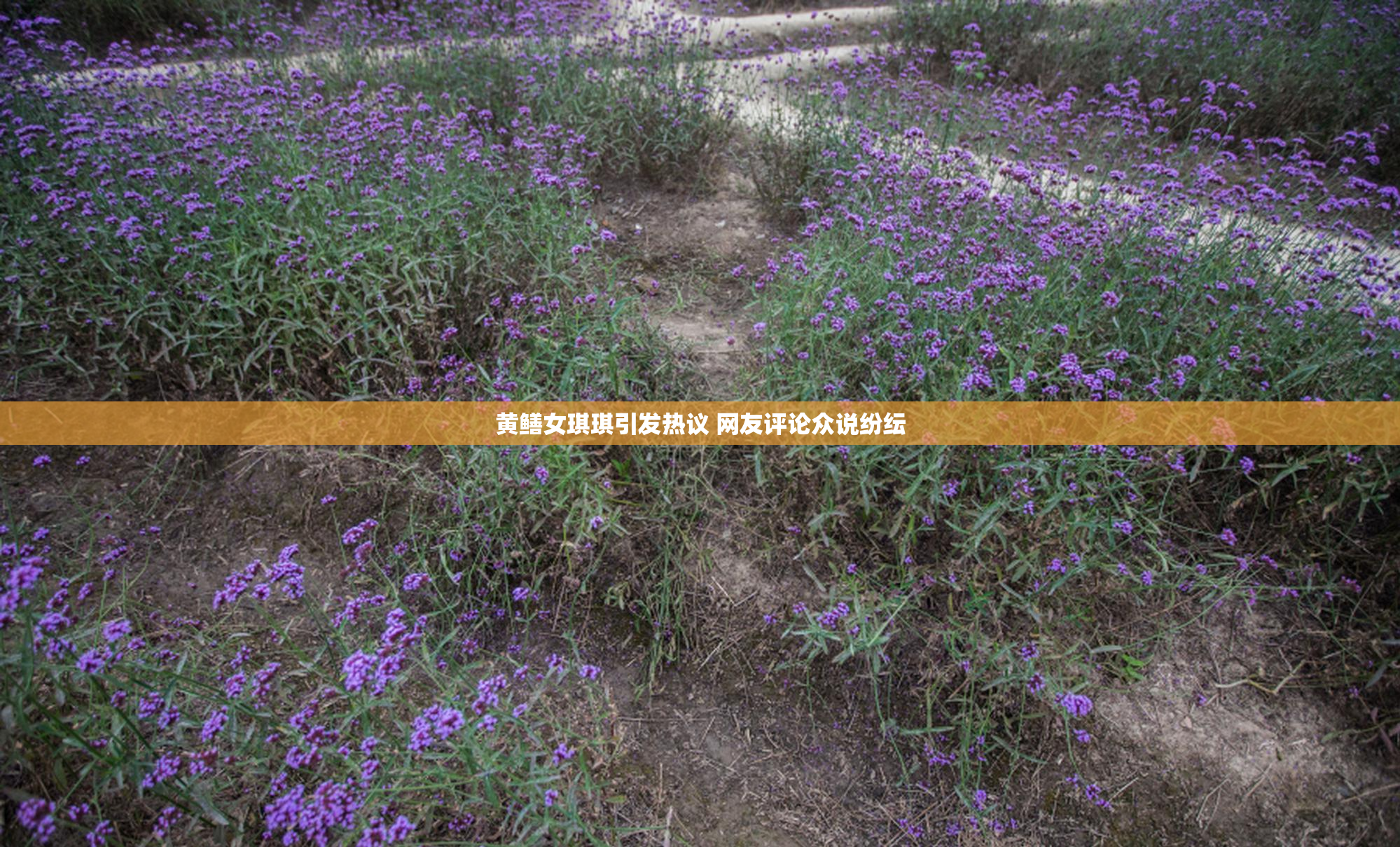 黄鳝女琪琪引发热议 网友评论众说纷纭