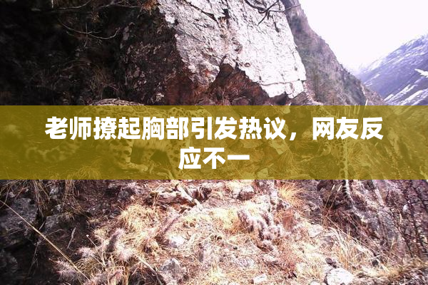 老师撩起胸部引发热议，网友反应不一