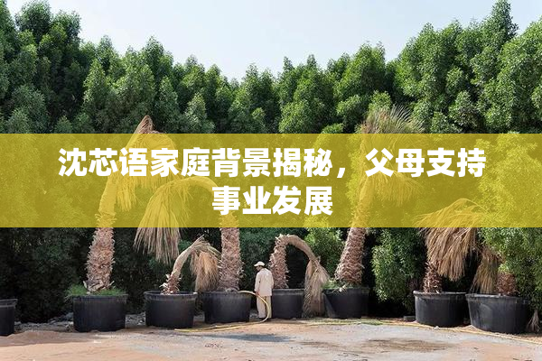 沈芯语家庭背景揭秘，父母支持事业发展