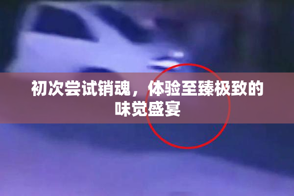 初次尝试销魂，体验至臻极致的味觉盛宴