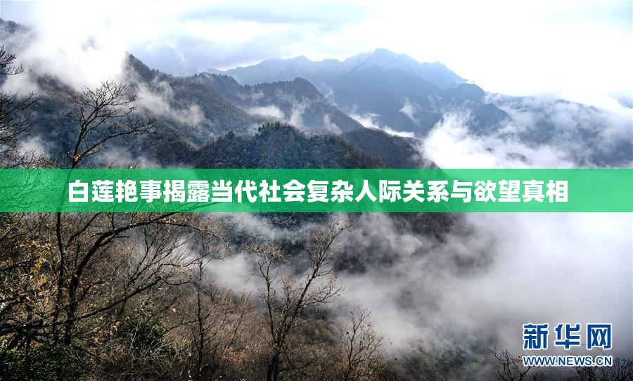 白莲艳事揭露当代社会复杂人际关系与欲望真相