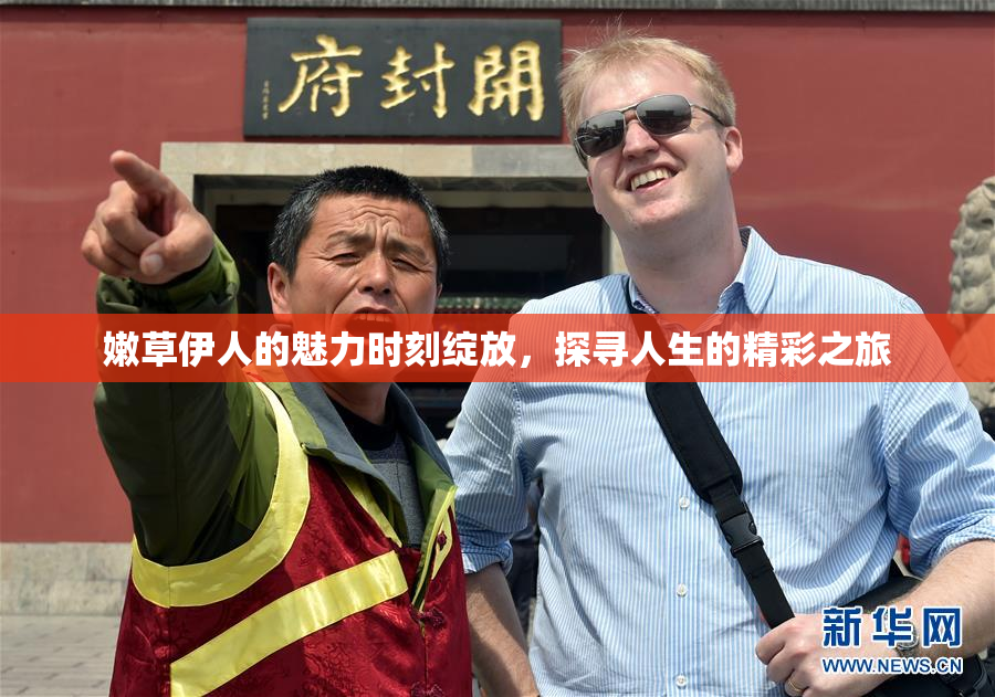嫩草伊人的魅力时刻绽放，探寻人生的精彩之旅