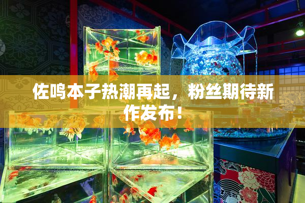 佐鸣本子热潮再起，粉丝期待新作发布！