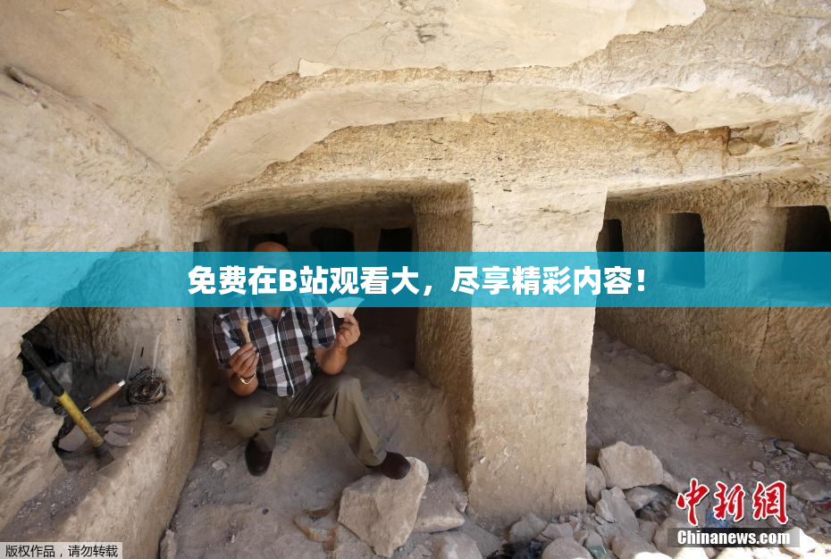 免费在B站观看大，尽享精彩内容！