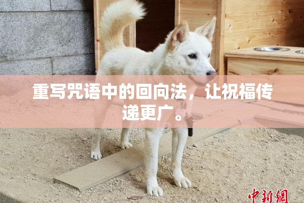 重写咒语中的回向法，让祝福传递更广。